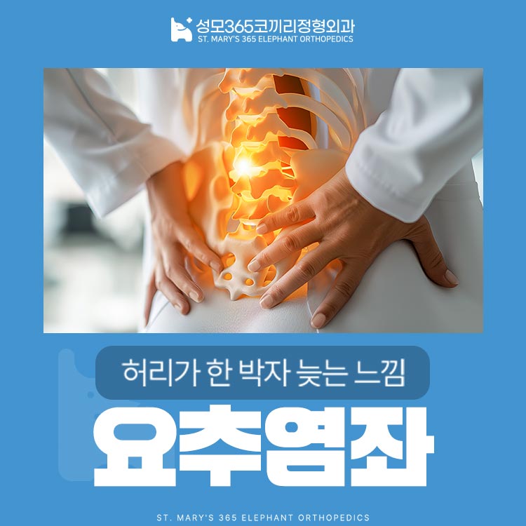 길음동 정혀외과 움직일 때마다 허리가 뻣뻣하고 아프다면?