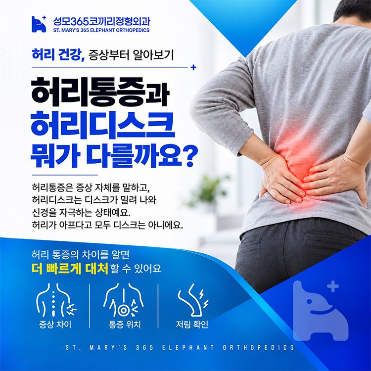 종암동정형외과  허리통증과 허리디스크, 구별해야 하는 이유